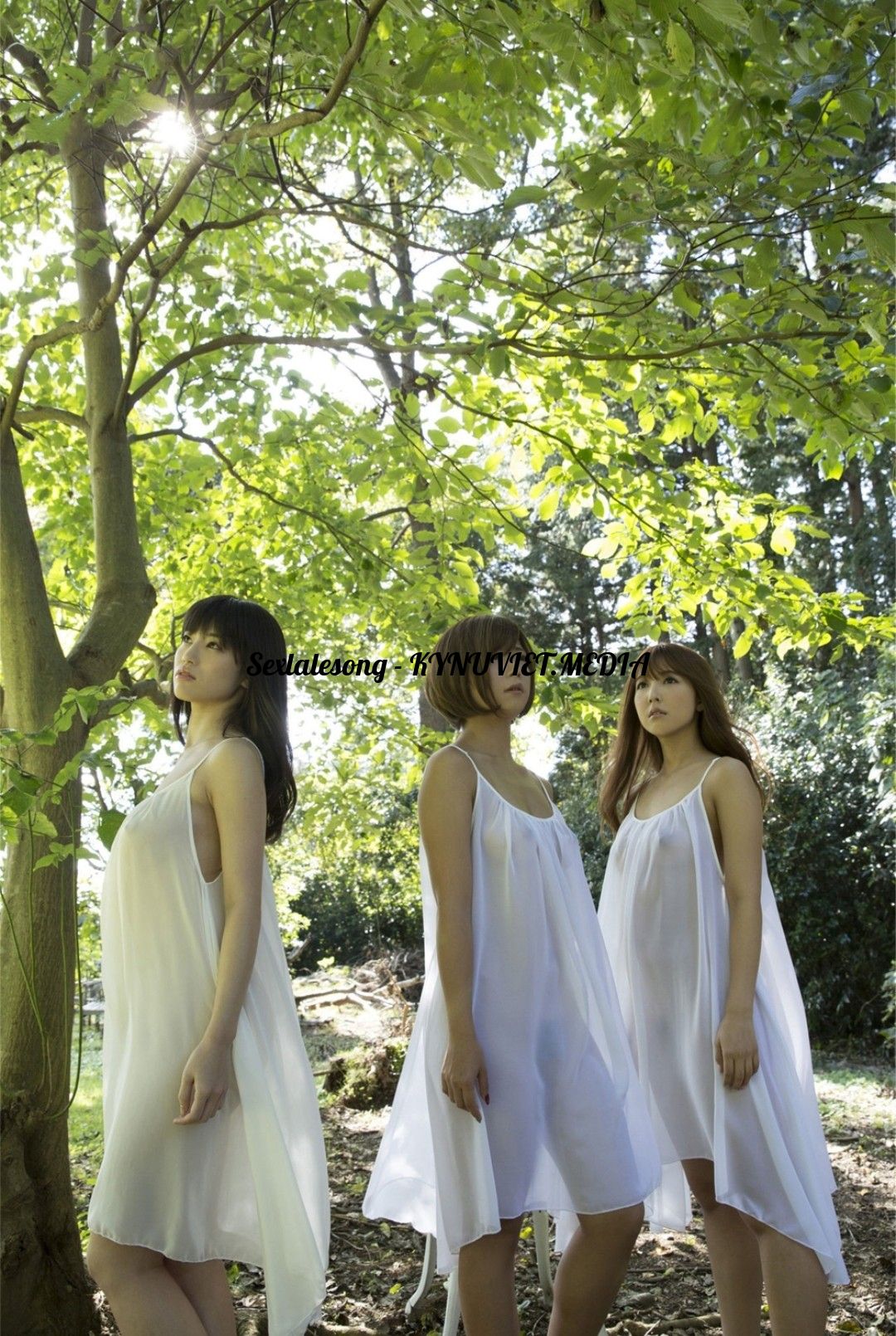 Point Blur_Aug172022_061206.jpg