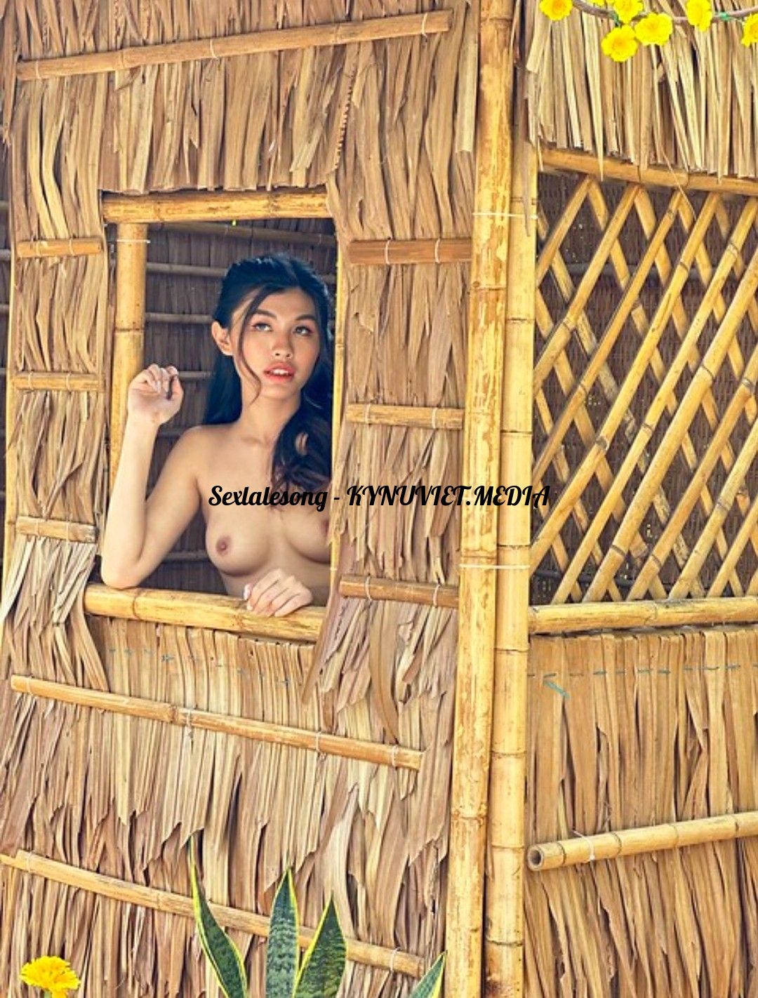 Point Blur_Dec112022_125753.jpg